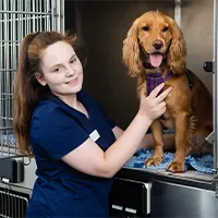 Chloe Glover - Student Veterinary Nurse