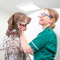 Devon Caffull - Veterinary Nurse
