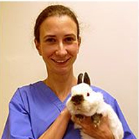 Kathryn Tovey - Veterinary Surgeon