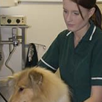 Kelly Griffiths - Veterinary Nurse