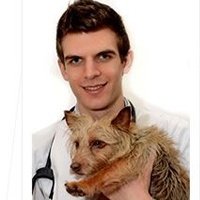 Marc Lloyd - Veterinary Surgeon