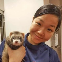 Jocelyn Choo - Veterinary Surgeon