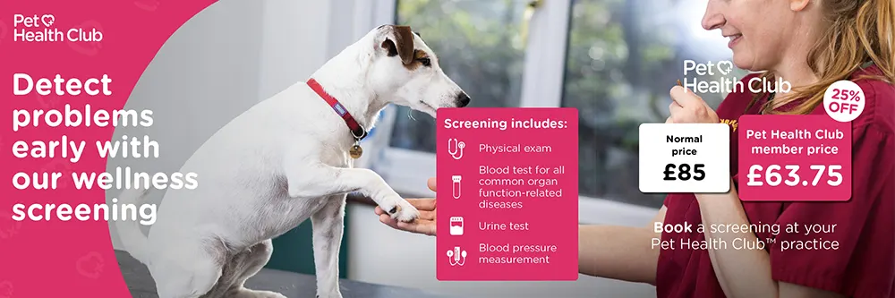 Wellness Screenings for Pets add
