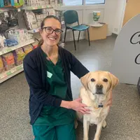 Hayley Lambert - Registered Veterinary Nurse