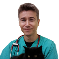 Dr Antonio Moneva-Jordan - Referral Clinician in Cardiology