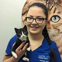 Karina - Veterinary Surgeon