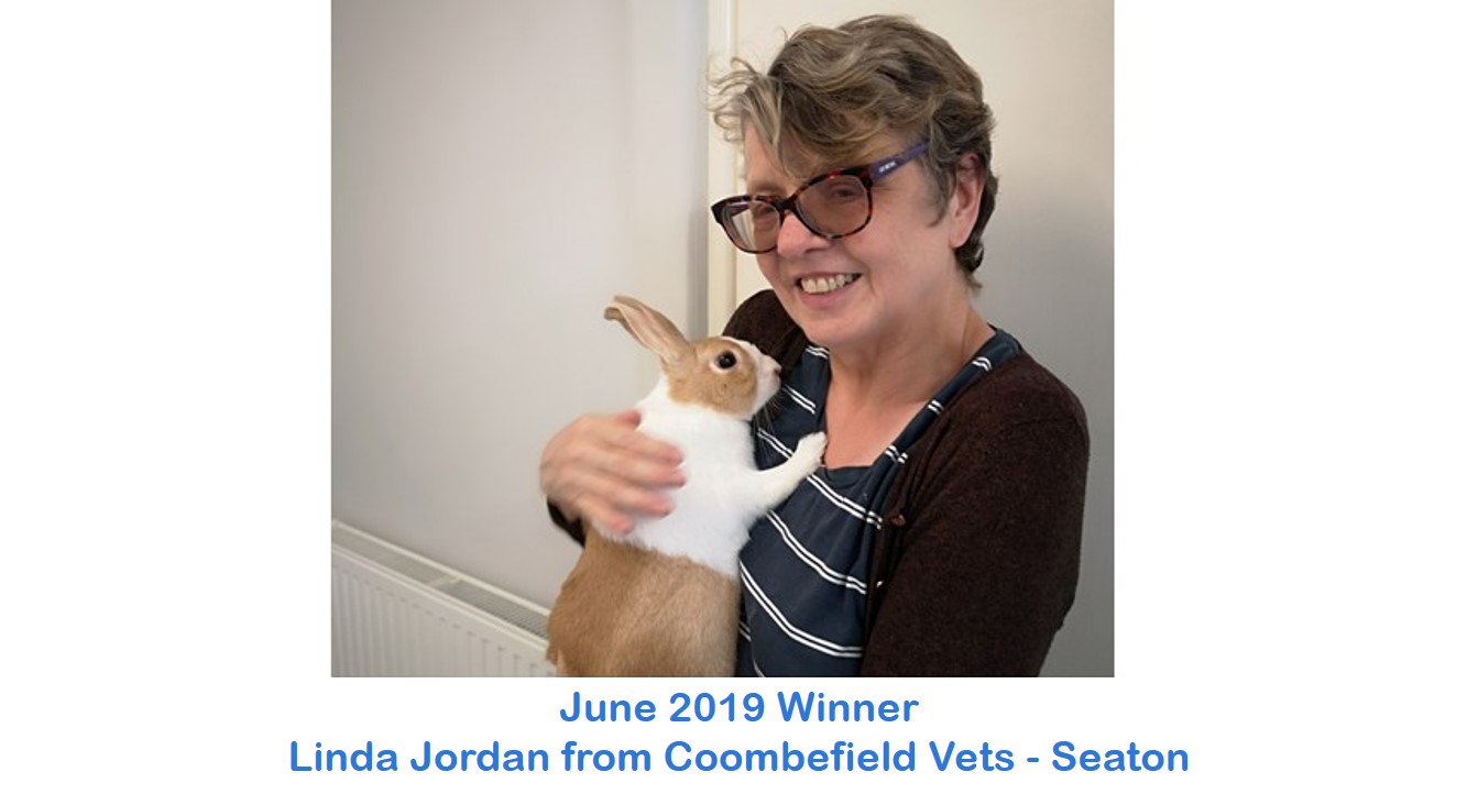 Linda Jordan - Coombefield - June 2019