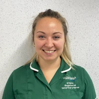 Stephanie Wilson  - Registered Veterinary Nurse