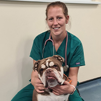 Perry Smith - RVN, FdSc Degree in Veterinary Nursing  Qualified & Certified Canine Groomer