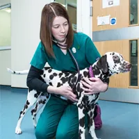 Kirsty - Veterinary Nurse