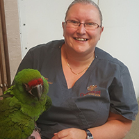 Karen Antrobus - Veterinary Nurse and Hydrotherapist