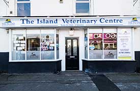 Island Veterinary Centre