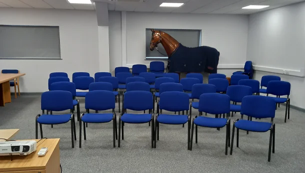 Conference room chairs and model horse