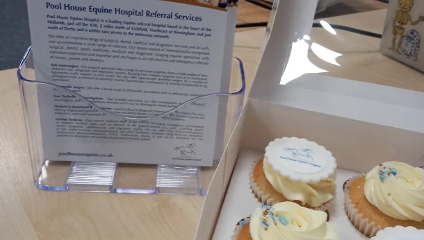 Conference room cupcakes and leaflet