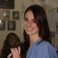 Katie Luis-Hole - Veterinary Surgeon