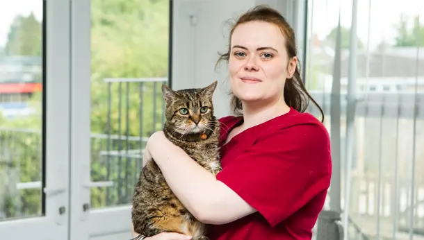 Animal Nursing Assistant - Cat