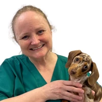 Dr Anne Apsley  - Veterinary Surgeon