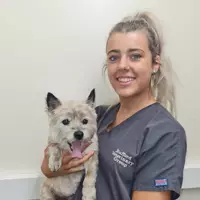 Olivia - Student Veterinary Nurse