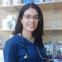 Sofia Louro - Veterinary Surgeon