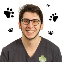 Riccardo Nannetti - Veterinary Surgeon