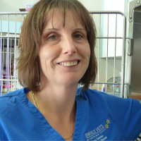 Tracy Timms - Veterinary Nurse