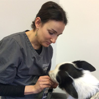 Belinda Nunes - Veterinary Surgeon