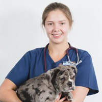 Alice White - Veterinary Nurse