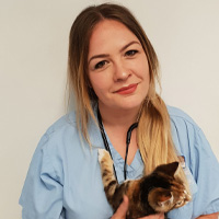 Mandy Lewis - Veterinary Surgeon