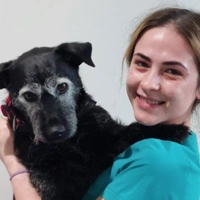 Amy Dwyer - Veterinary Nurse