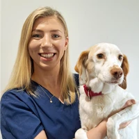 Sarah Quinlivan  - Veterinary Surgeon