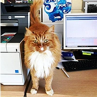 Garfield - Pest Control Officer