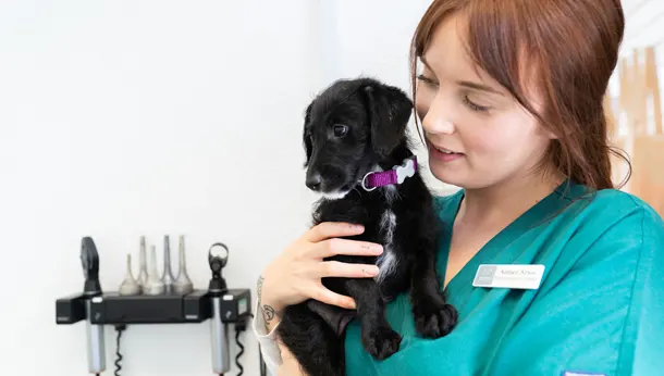 Nurse-and-puppy