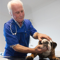 Paddy Marshall - Veterinary Surgeon