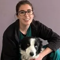 Amy Palmer - Veterinary Nurse
