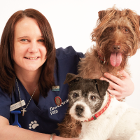 Amanda Caunt - Registered Veterinary Nurse