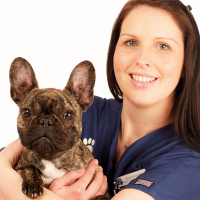 Helen Lee - Head Registered Veterinary Nurse