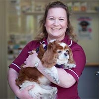 Christabel Moseley - Veterinary Surgeon