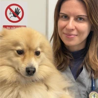 Martina Marcantoni - Veterinary Surgeon