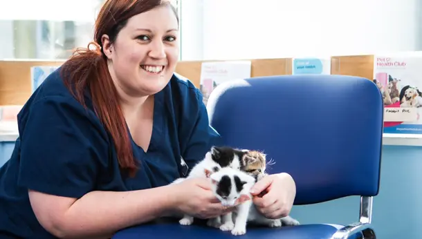 Smiling vet with kittens