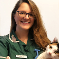 Cheryl Ramsbottom - Head Veterinary Nurse