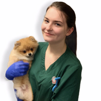 Hannah Tabner - Registered Veterinary Nurse