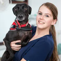 Rhiannon Griffiths - Animal Care Assistant