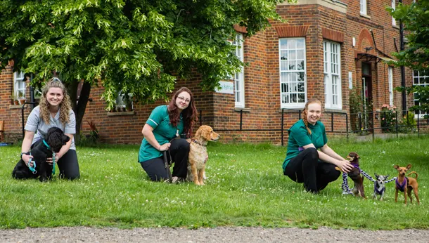 Three nurses walking dogs