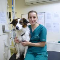Liz Pilgrim - Registered Veterinary Nurse