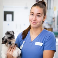 Hannah Willison - Trainee Veterinary Nurse