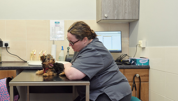 Vet with small dog