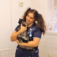 Aila Afshari - Veterinary Nurse