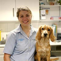 Katie Westlake - Veterinary Surgeon