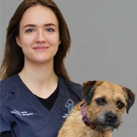 Karen Hase - Veterinary Surgeon