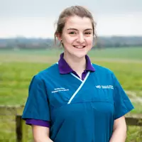 Maddie Allsop - Veterinary Surgeon